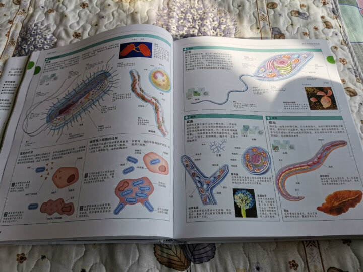 DK宝宝健康与疾病百科全书 晒单图