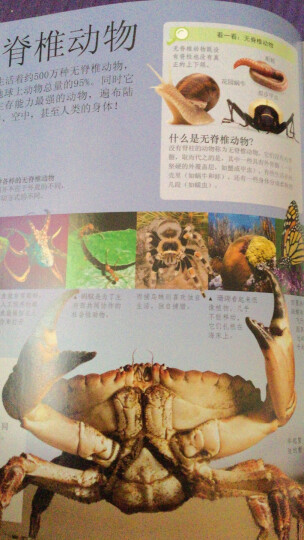 DK儿童地理百科全书（2021年全新印刷）(中国环境标志产品 绿色印刷) 晒单图