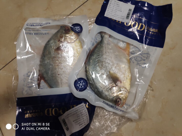 海鲜颂 活冻金鲳鱼 海捕 平鱼鲳鱼 海鲜水产 袋装 500g/条 2 条装 晒单图