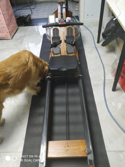 【京选优品】哇咖(Wakagym)划船机水阻家用智能实木划船器 北欧榉木【经典款】推荐个人健身 晒单图