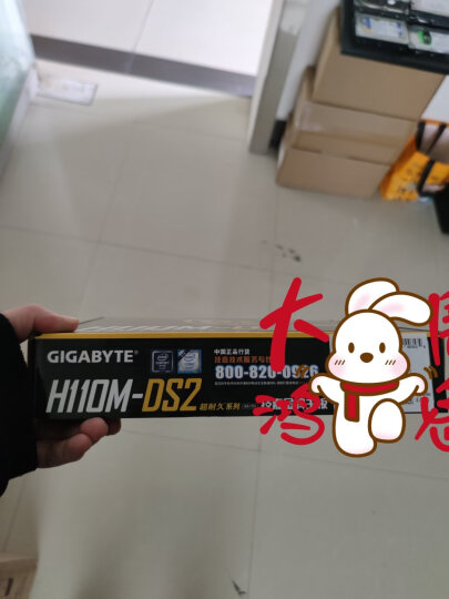 技嘉（GIGABYTE） H110M-DS2 DDR4 LGA1151针脚全固态电容电脑主板 晒单图