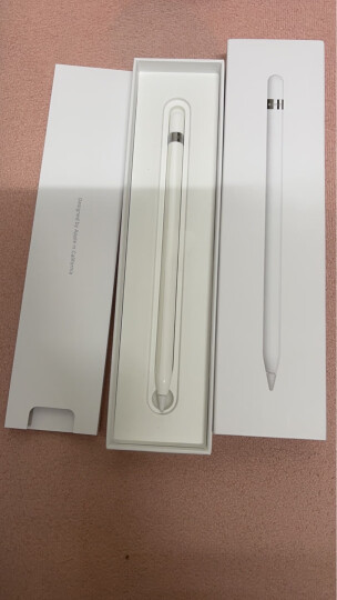 Apple Pencil (第一代) 适用2021/2020款10.2英寸iPad/2019款iPad Air/iPad（第九代） 晒单图