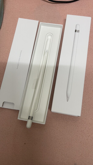 Apple Pencil (第一代) 适用2021/2020款10.2英寸iPad/2019款iPad Air/iPad（第九代） 晒单图