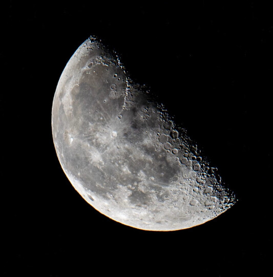 适马（SIGMA）150-600mm F5-6.3 DG OS HSM｜Contemporary 全画幅 远摄变焦镜头 打鸟荷花（佳能单反卡口） 晒单图