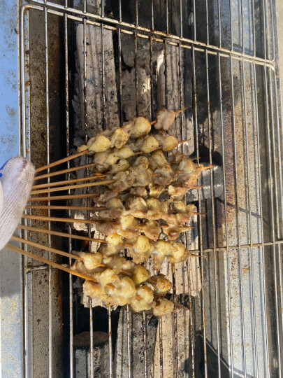 木屋烧烤 食材掌中宝鸡脆骨腌制户外露营烧烤半成品鸡软骨10串 晒单图