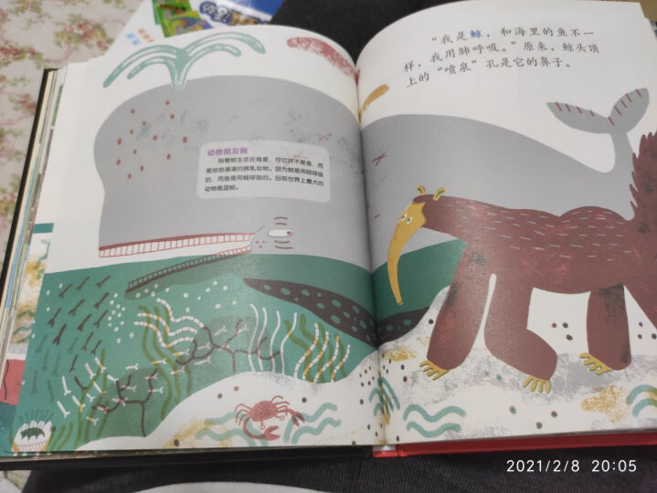 3-6岁幼儿动物故事（套装共4册） 晒单图
