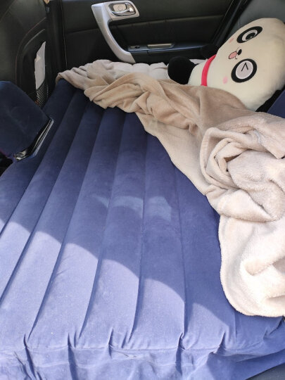 Bestway百适乐 车载充气床气垫床旅行汽车床垫户外防潮垫自驾游装备（附赠充气泵1个、枕头2个）12394 晒单图