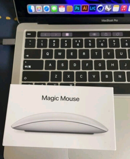 Apple/苹果 Magic Mouse 妙控鼠标 Mac鼠标 无线鼠标 办公鼠标 晒单图