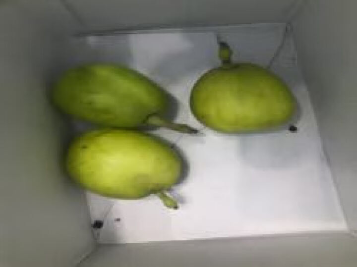 京鲜生 新疆库尔勒香梨6粒 二级 单果80-100g以上 生鲜 新鲜水果 晒单图
