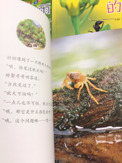 耕林科普：亲亲自然11册（培养孩子观察细节能力 ，拥抱大自然） 晒单图