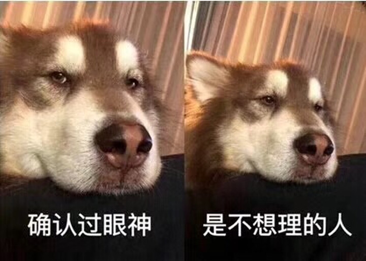 第12届全国新概念作文大赛获奖作品选(下卷) 晒单图