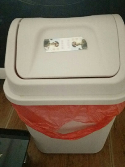 汉世刘家 垃圾桶家用 垃圾桶翻盖 客厅厨房垃圾桶翻盖式垃圾桶 咖色10L 晒单图