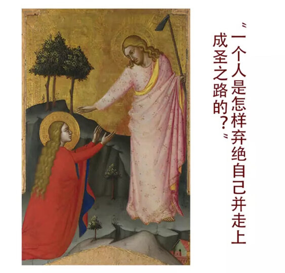 数学哲学 晒单图