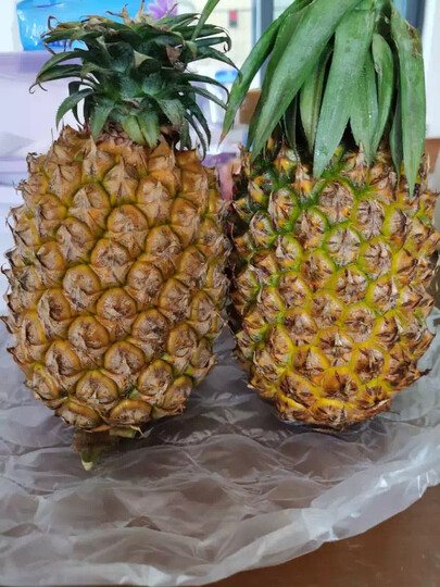 菲律宾菠萝 中果2个装 单果约1kg起 新鲜水果 晒单图