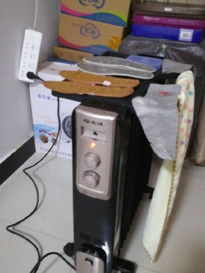 先锋(Singfun)取暖器 电暖器 电暖气片家用 13片全屋速暖电热油汀 低噪节能 烘衣加湿DYT-Z2 晒单图