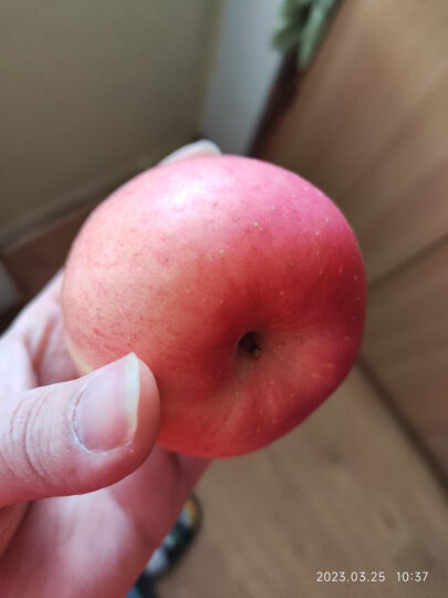 京鲜生 陕西洛川红富士苹果4.3斤 果径75mm 新鲜水果 源头直发包邮 晒单图