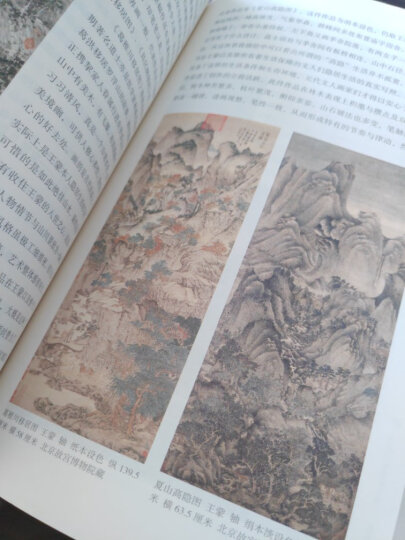 中国传统绘画史纲：画脉文心两征录 晒单图