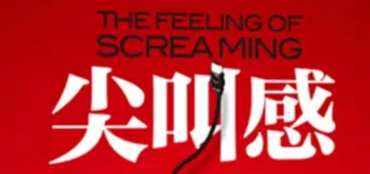 尖叫感:互联网文案创意思维与写作技巧 晒单图