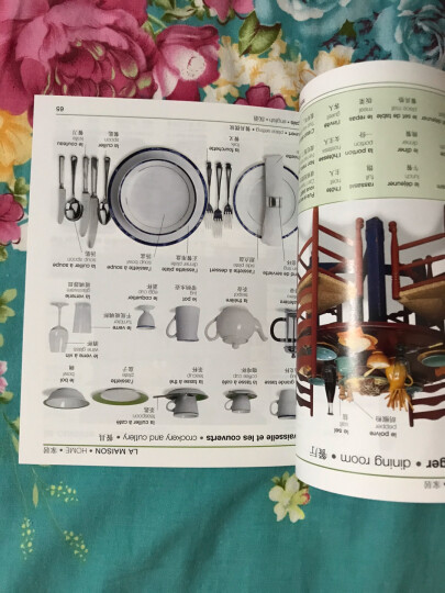法英汉图解词典 晒单图