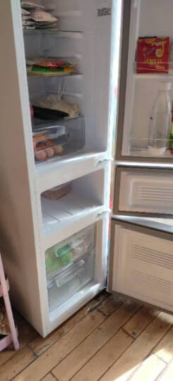 康佳（KONKA）192升 三门小冰箱 家用小型 电冰箱 软冷冻室 节能保鲜 省电37分贝低音 BCD-192MT 晒单图
