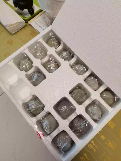 神丹 鹌鹑皮蛋 24枚*7g 家庭装 即食小皮蛋 休闲零食 晒单图