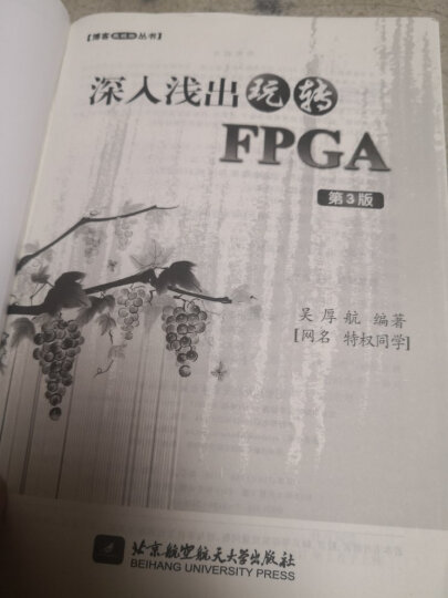 深入浅出玩转FPGA(第3版)【博客藏经阁丛书】 晒单图