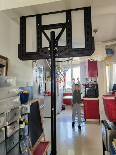 双航 篮球架 青少年儿童室内家用球架 户外可升降可移动成人标准篮球架 3.4米款+标准7号篮球 晒单图