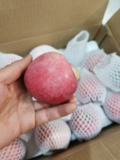 佳农 烟台红富士苹果 12个装 单果重约200g 新鲜水果 晒单图