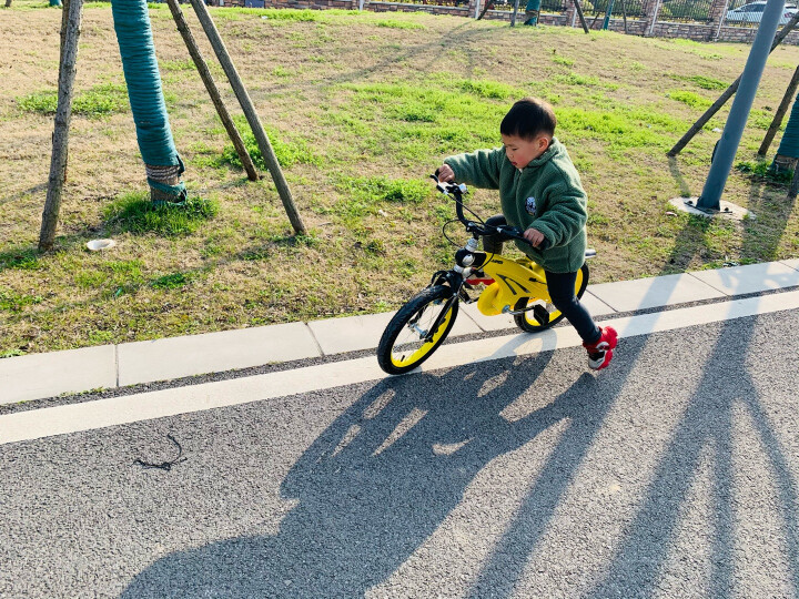 健儿（jianer）可伸缩儿童自行车4.6.8岁男女小孩单车脚踏车镁合金公主山地单车 折叠车把-香槟金(双碟刹) 12寸(适合80-110cm) 晒单图