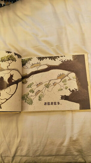 多了 耕林 晒单图