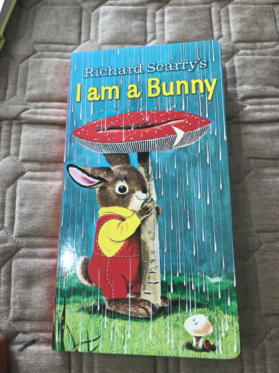 送音频 I Am a Bunny 我是一只兔子 Dear Zoo 亲爱的动物园 儿童纸板翻翻书 0-3岁英文原版绘本 晒单图