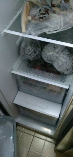 美的(Midea)冰箱549囤货家用双开门对开门冰箱 一级能效变频智能电冰箱BCD-549WKPZM(E) 晒单图