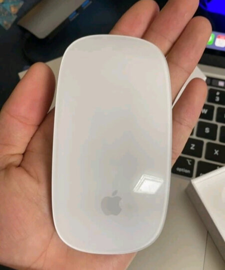 Apple/苹果 Magic Mouse 妙控鼠标 Mac鼠标 无线鼠标 办公鼠标 晒单图