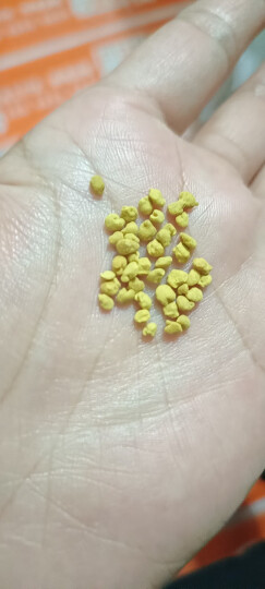 五台山蜜蜂园油菜蜂花粉500克 青海油菜花粉食用未破壁 非破壁油菜花粉豆 油菜花粉 晒单图