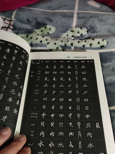 中国硬笔书法字典（修订版） 晒单图