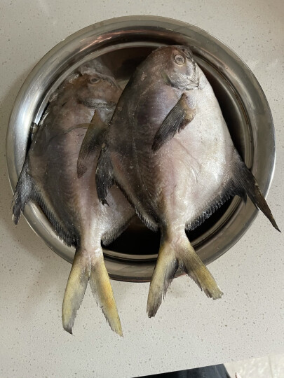 大洋世家 舟山精品银鲳鱼450g/袋 （2条装） 平鱼 生鲜  火锅烧烤生鲜食材 晒单图