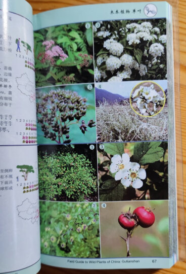 中国常见植物野外识别手册：古田山册 晒单图