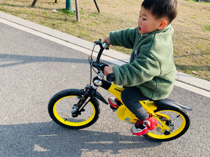 【可加长】健儿（jianer）儿童自行车男女小孩单车2-3-4-6-8岁脚踏车 概念豪华款-公主粉(折叠车把双碟刹) 14寸 晒单图