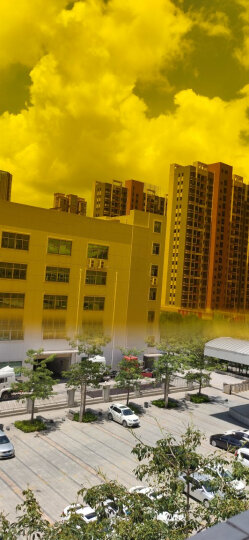 雷德蒙日夜两用变色偏光太阳镜男司机夜间驾驶眼镜女夜视镜开车专用眼睛防远光灯飞行员墨镜蛤蟆镜 金色框 橙色偏光片(送夜视镜)(再送墨镜) 晒单图
