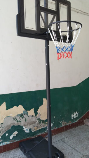 双航 篮球架 室内家用篮球框球架 户外可升降可移动标准高度篮球架 3.4米款(篮筐高度1.2-3.05米) 晒单图
