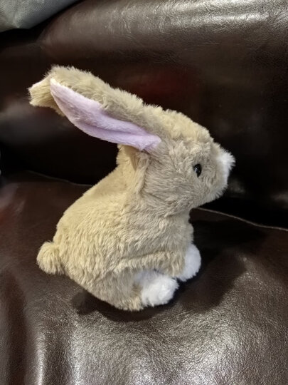 兔玩，吃饭睡觉都要带在身边。 跳跳兔2024-03-22 11:03 来自京东android客户端