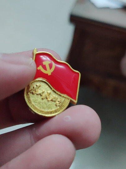 易利丰(elifo 镀金标准党徽胸章 党员新徽章 党员徽章【加厚款厚2mm
