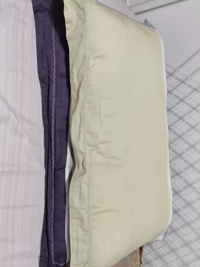 罗莱家纺 LUOLAI 枕头枕芯决明子荞麦枕头芯 呵护枕 草本枕 全棉面料 46*72cm 晒单图