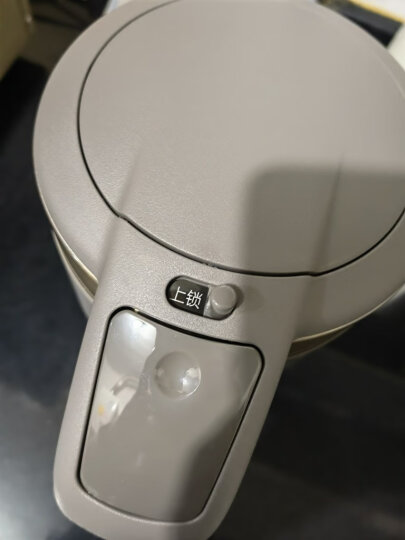 TIGER虎牌电热水瓶电水壶内容器专用柠檬酸清洗剂 PKS-012C 白色 晒单图