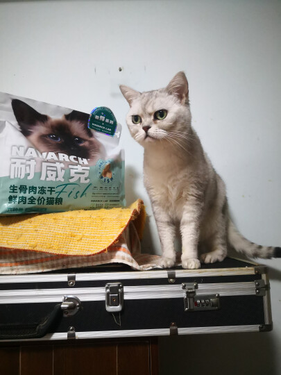 耐威克 猫粮 健康体态系列 成幼猫 5kg 晒单图