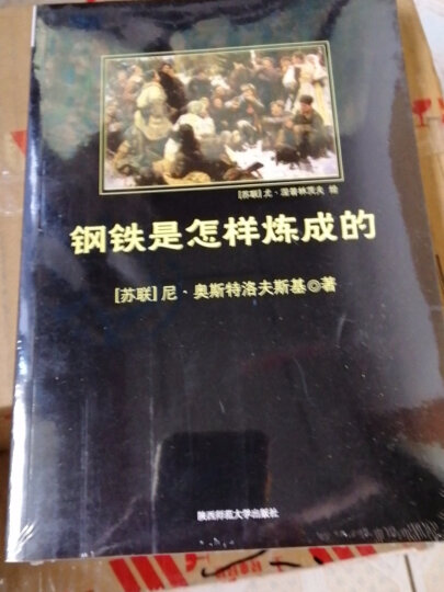 黑皮系列课外阅读：王子与贫儿（有爱有梦有奇迹，一部关于梦想与勇气的人生寓言）六年下册阅读 晒单图