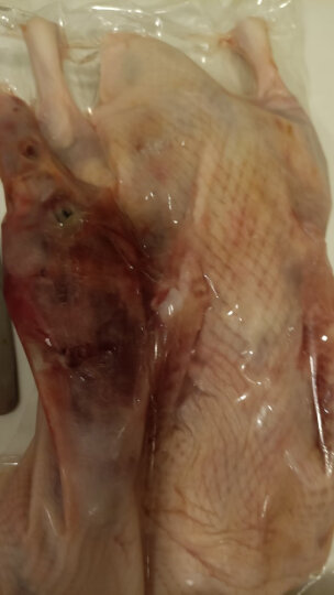 CP正大（CP）樱桃谷鸭 鸭翅中 500g 冷冻 圈养 翅中 烧烤食材 晒单图