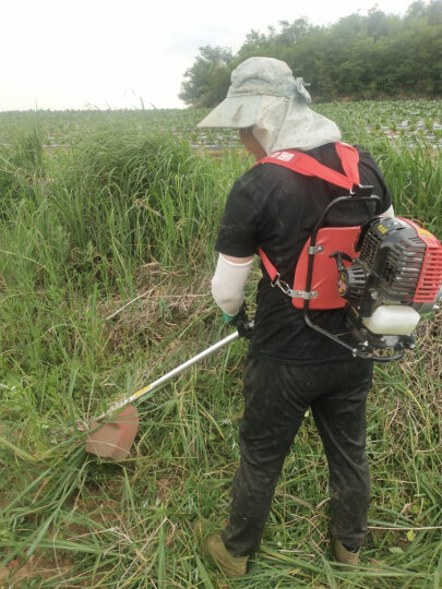 森牛（SENNIU）德国割草机汽油机四冲程背负式除草锄地松土微耕种植打草电动农具 锄除草轮(带加厚齿轮箱) 晒单图