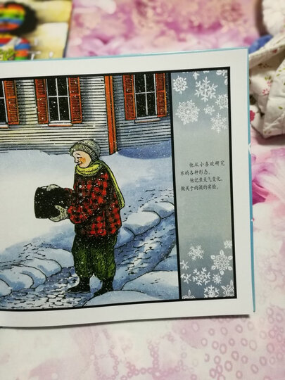 凯迪克金奖绘本:雪花人(启发童书馆出品) 晒单图