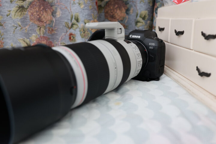 佳能（Canon）EF 70-200mm f/4L USM 单反镜头 远摄变焦镜头 70200小小白 晒单图